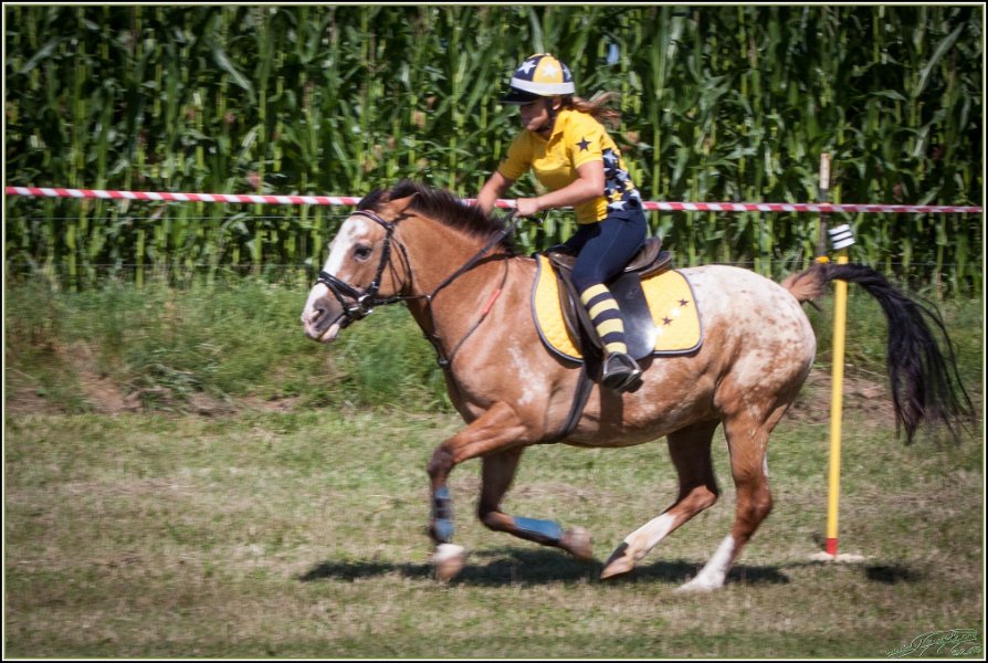 Mounted Games 028